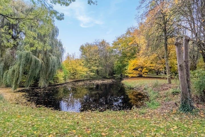 Foto 32 van De Zeeg 38