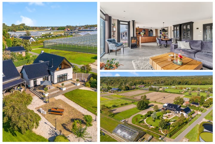 Photo 2 of Luttik Cie 37