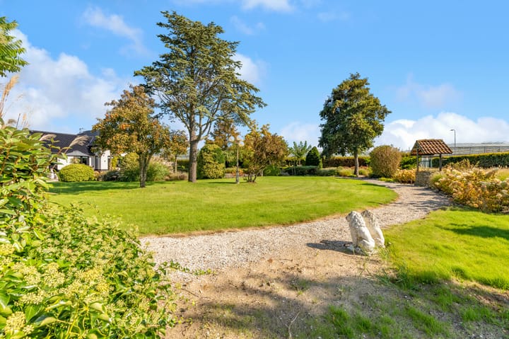 Photo 45 of Luttik Cie 37