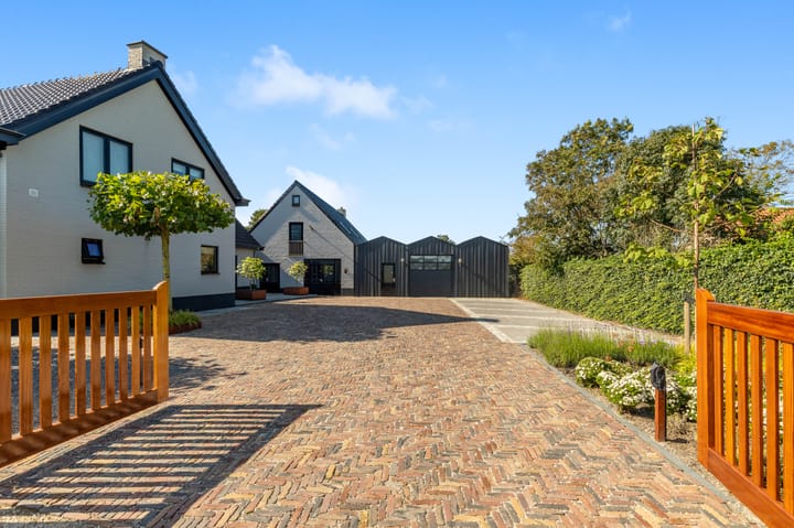 Photo 49 of Luttik Cie 37