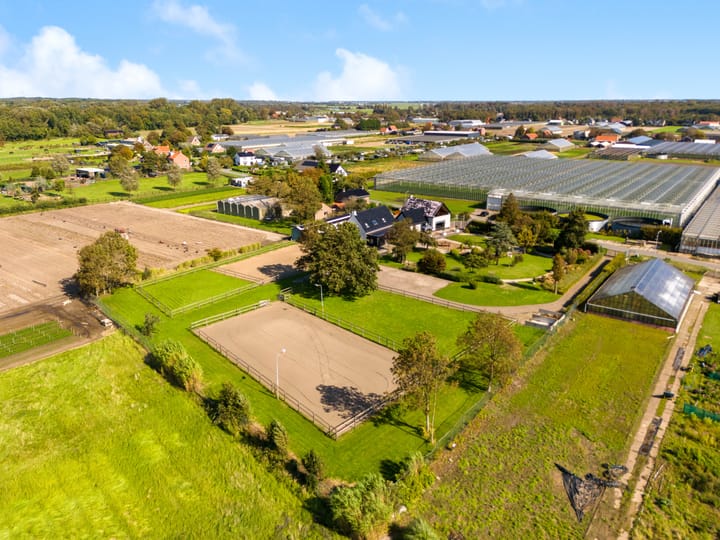 Photo 51 of Luttik Cie 37