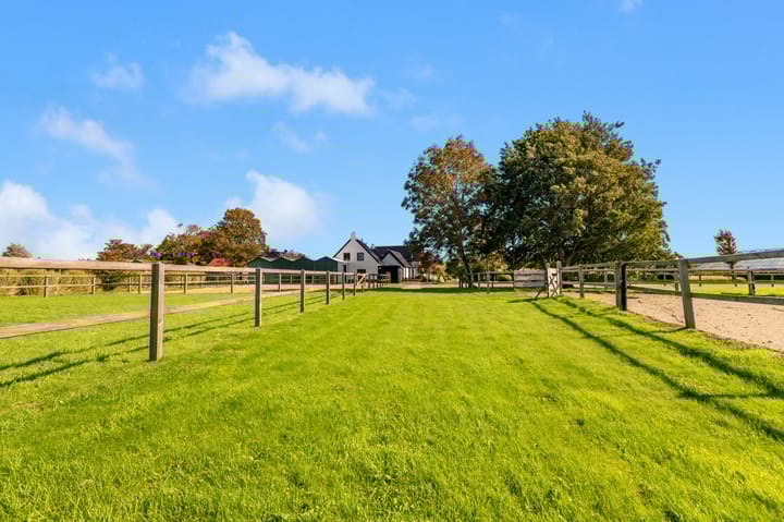 Photo 48 of Luttik Cie 37