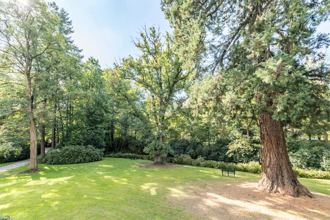 Photo 31 of Park Vredehof 12