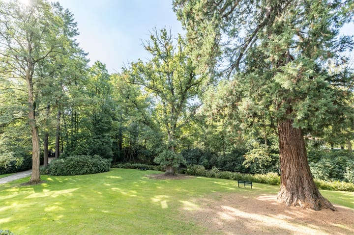 Foto 31 van Park Vredehof 12