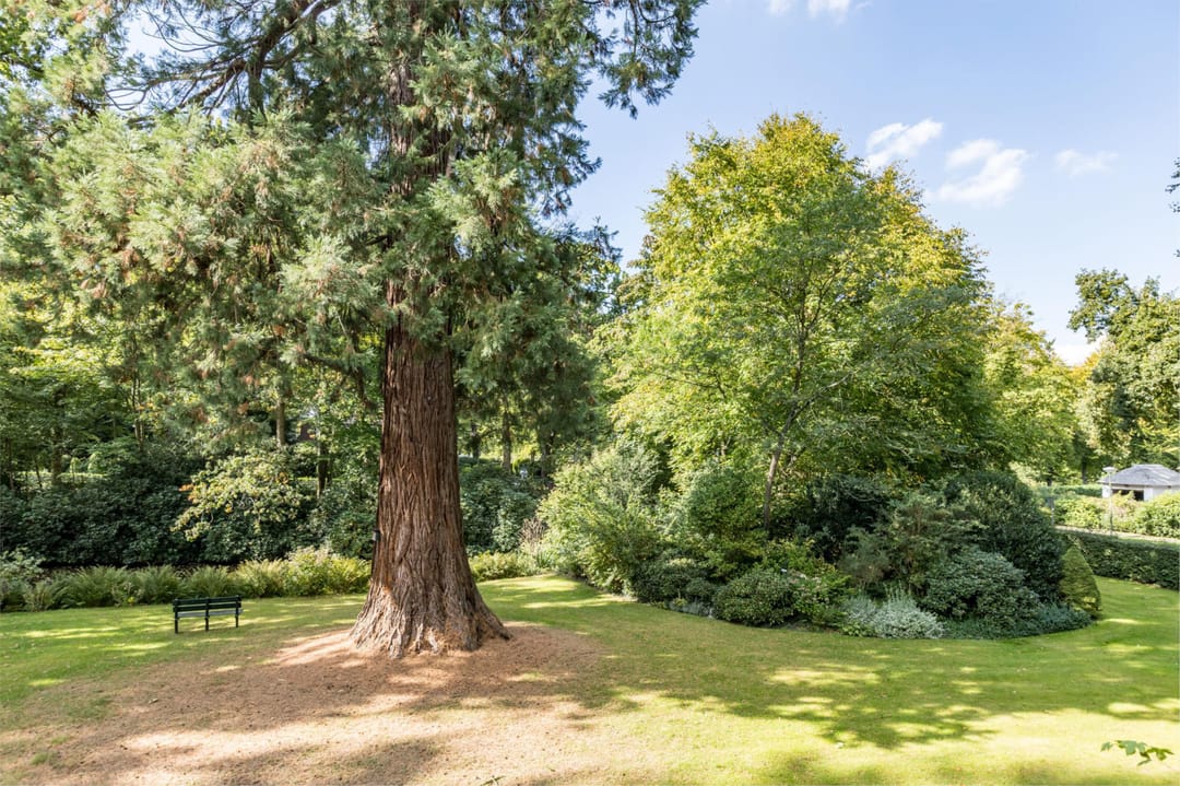 Photo 32 of Park Vredehof 12