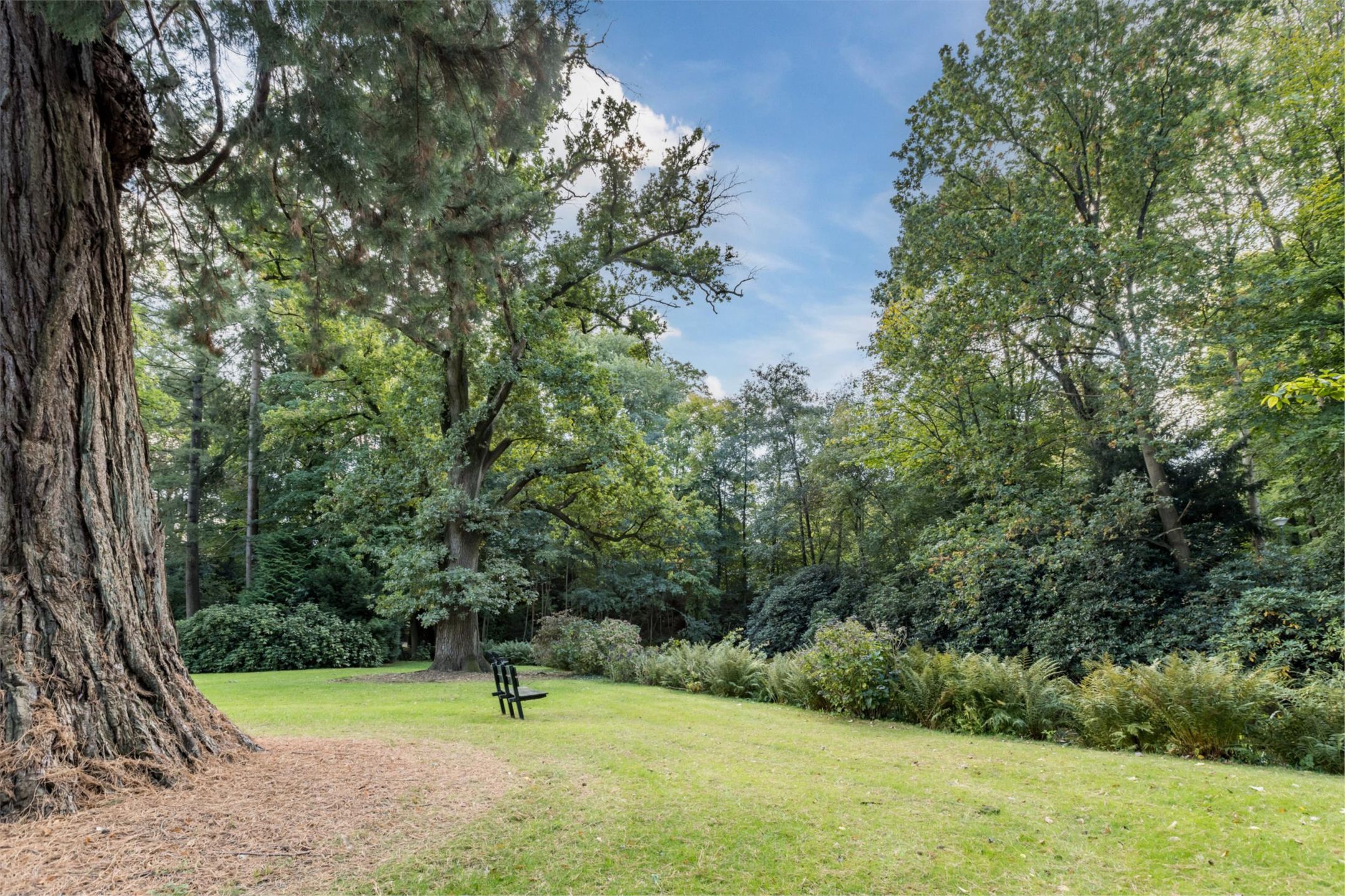 Photo 42 of Park Vredehof 12