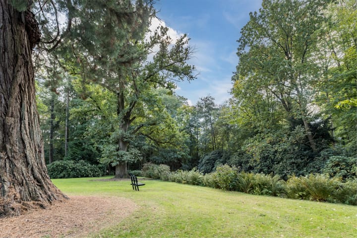 Foto 42 van Park Vredehof 12