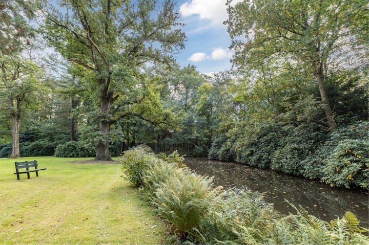 Foto 43 van Park Vredehof 12