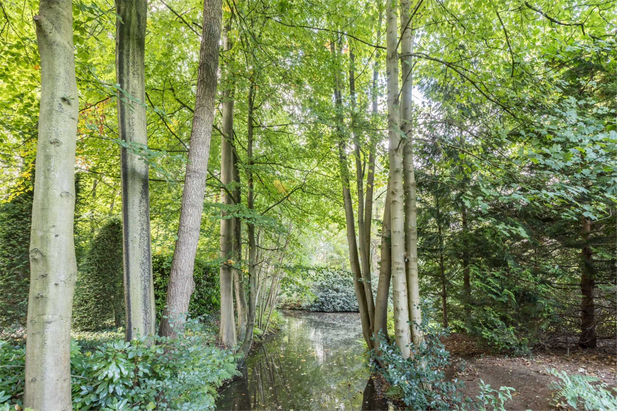 Photo 45 of Park Vredehof 12