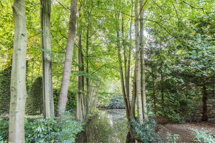 Foto 45 van Park Vredehof 12