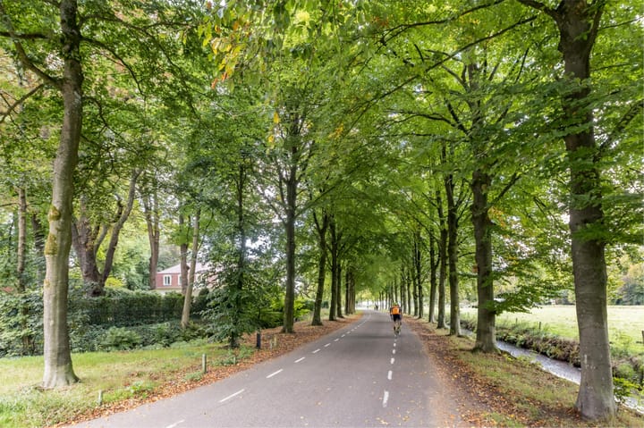 Foto 47 van Park Vredehof 12