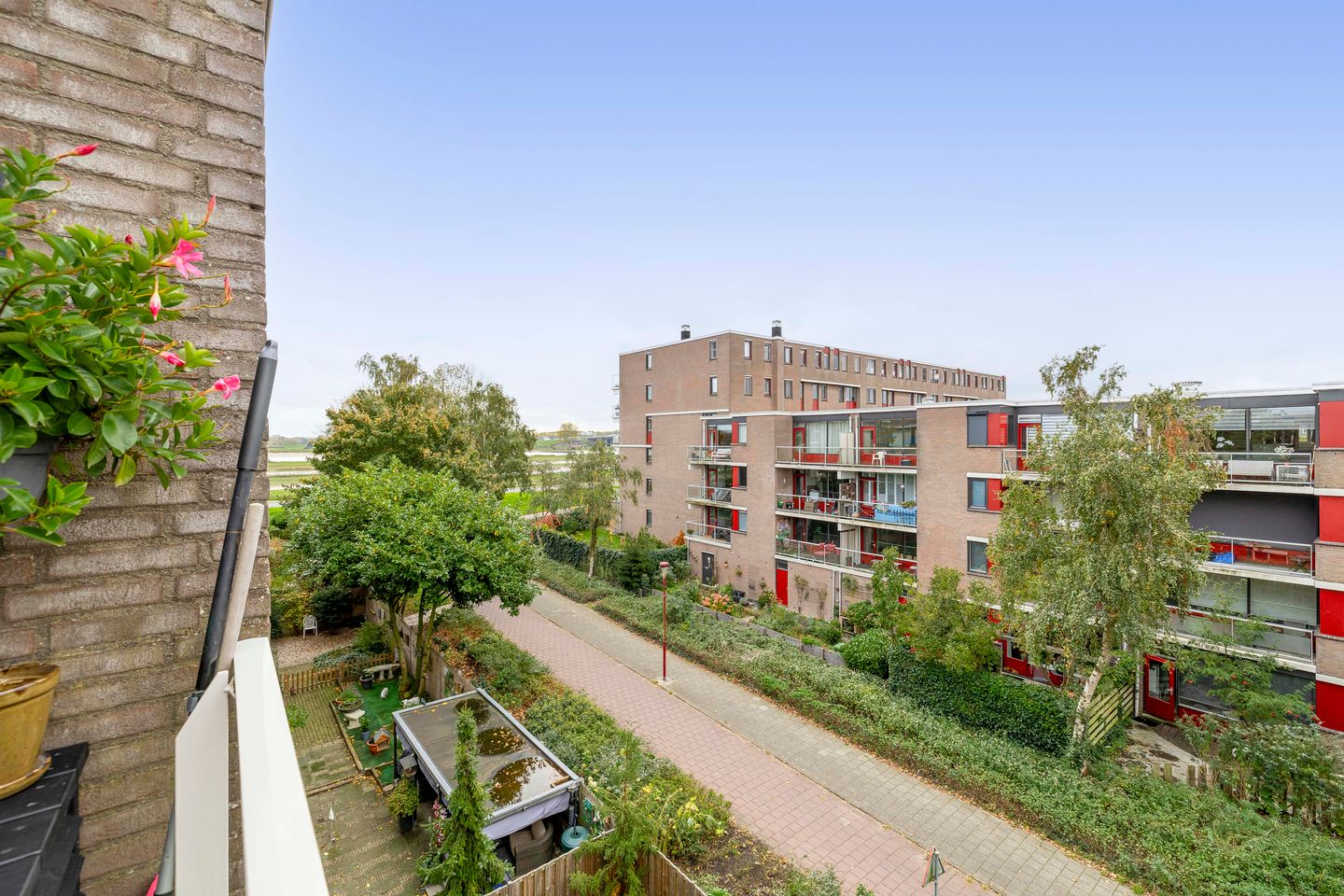 Foto 20 van Kribbemonde 127