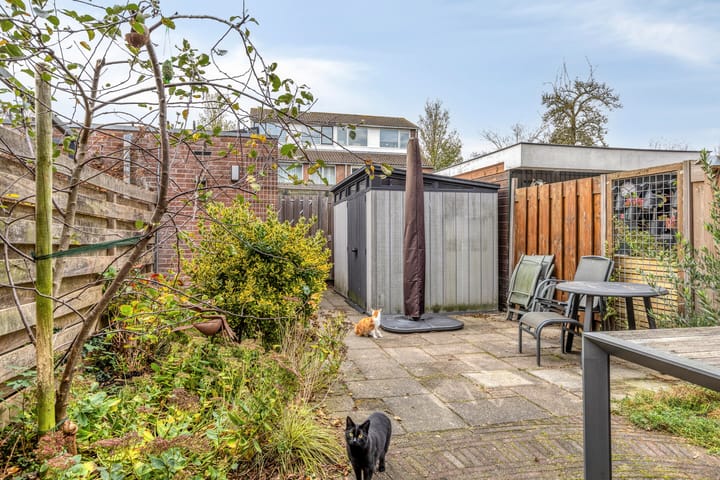 Photo 20 of Blankaartweg 7