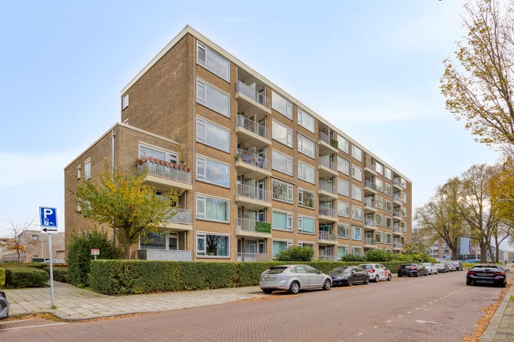 Foto 5 van Erasmusplein 151