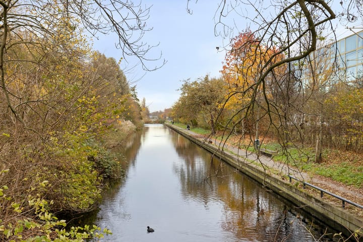 Foto 19 van Erasmusplein 151