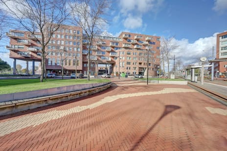 undefined main image