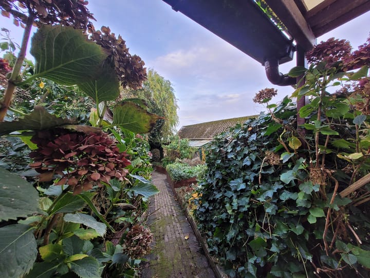 Photo 34 of Oostwouder Dorpsstraat 22