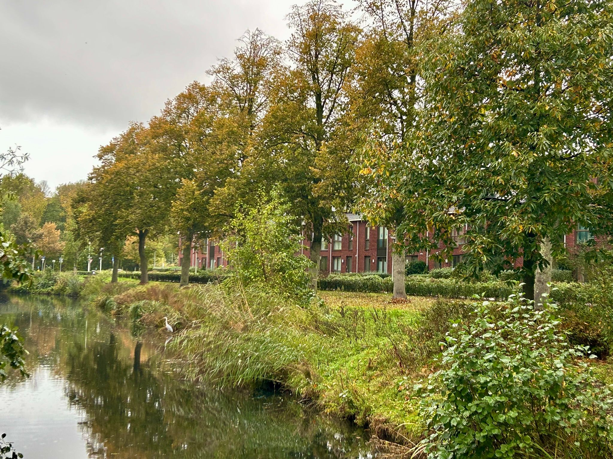 Foto 9 van Charlotte Jacobslaan 71