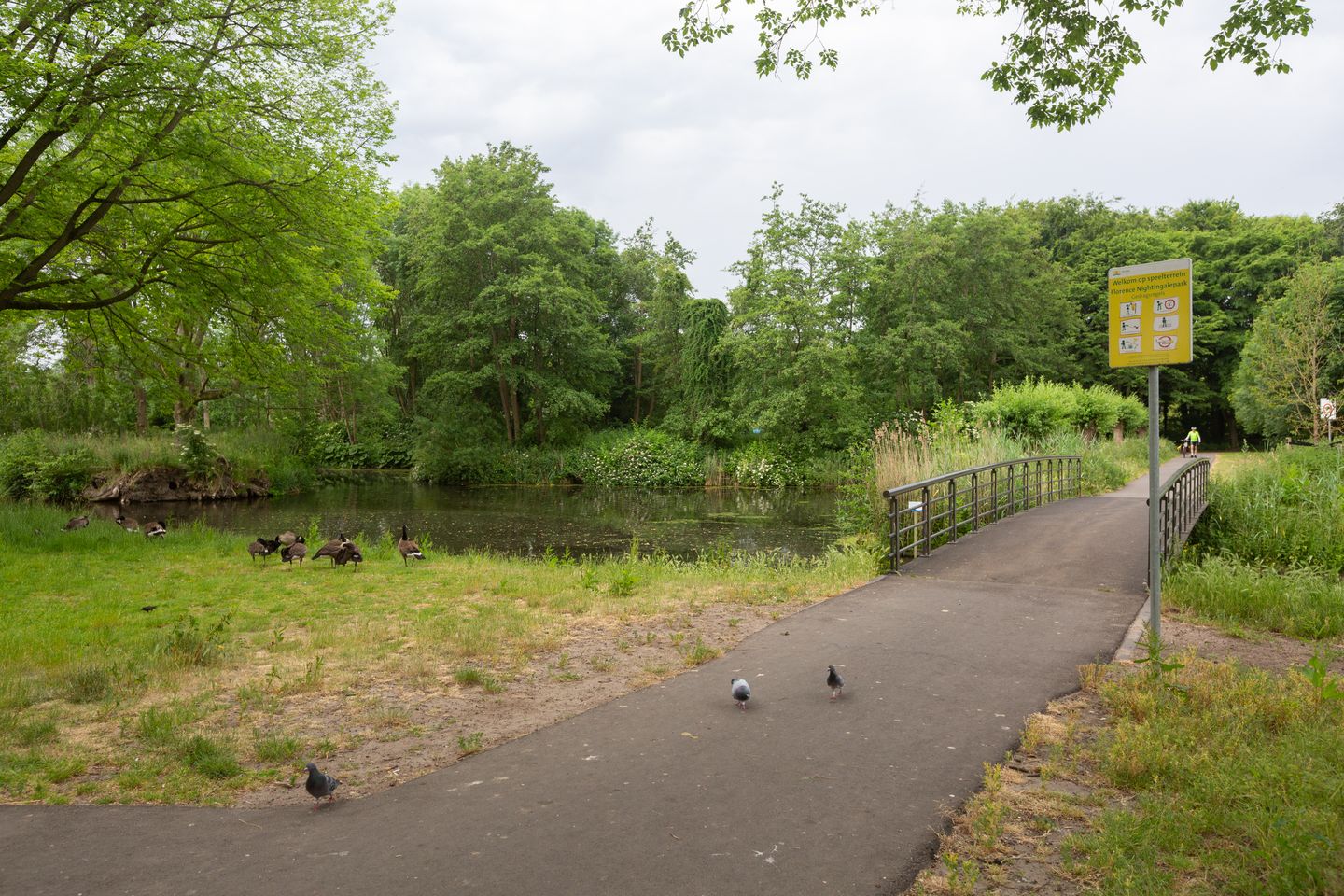 Foto 44 van Charlotte Jacobslaan 71