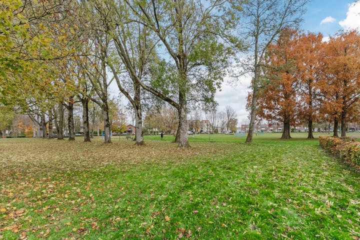 Photo 40 of Wilhelminapark 26