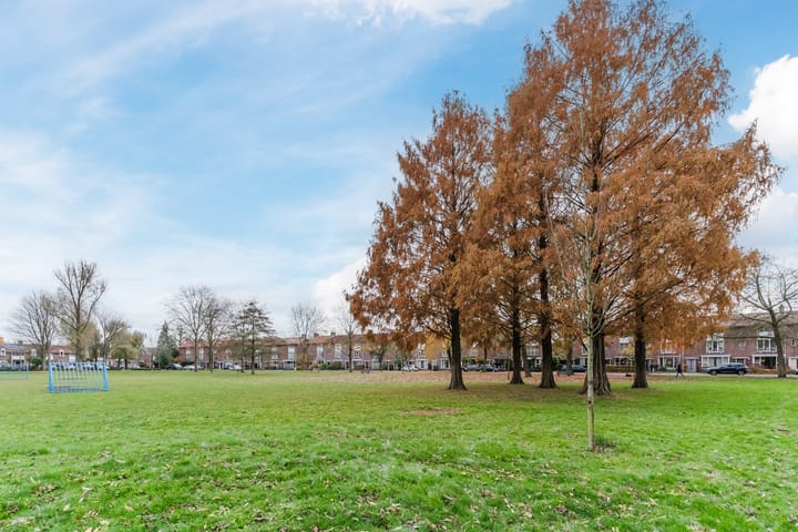 Photo 42 of Wilhelminapark 26