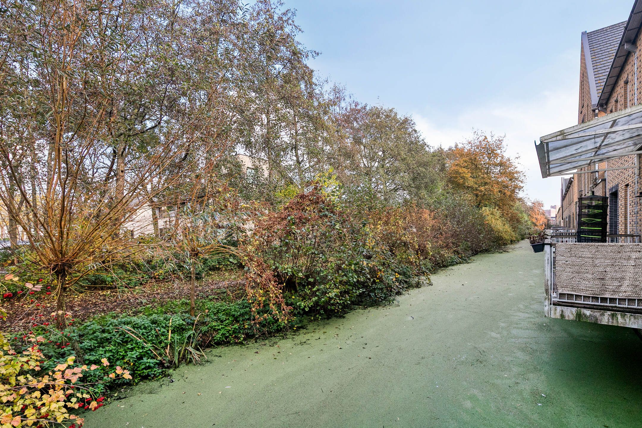 Foto 24 van Straat van Corsica 117