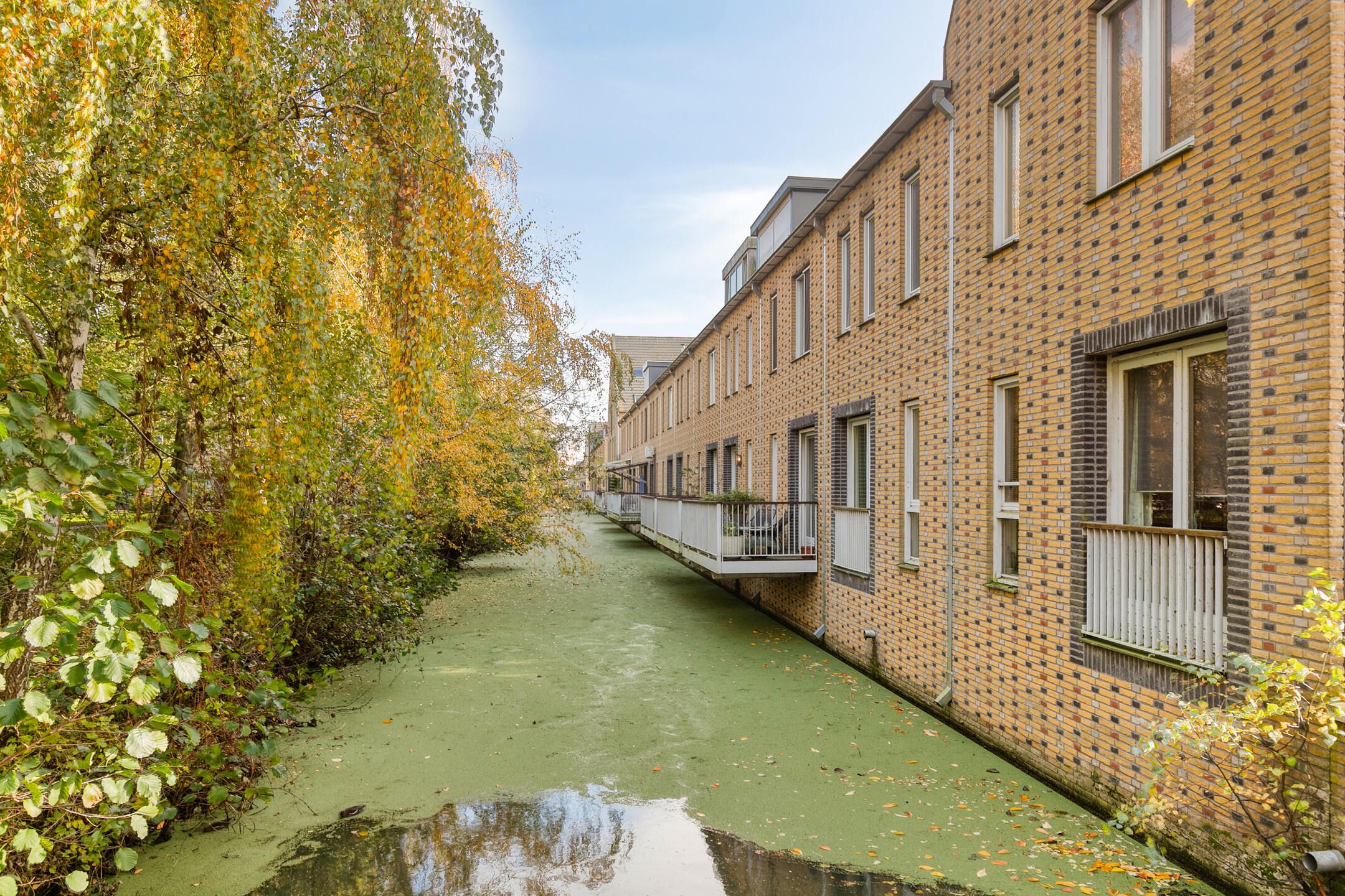 Foto 42 van Straat van Corsica 117