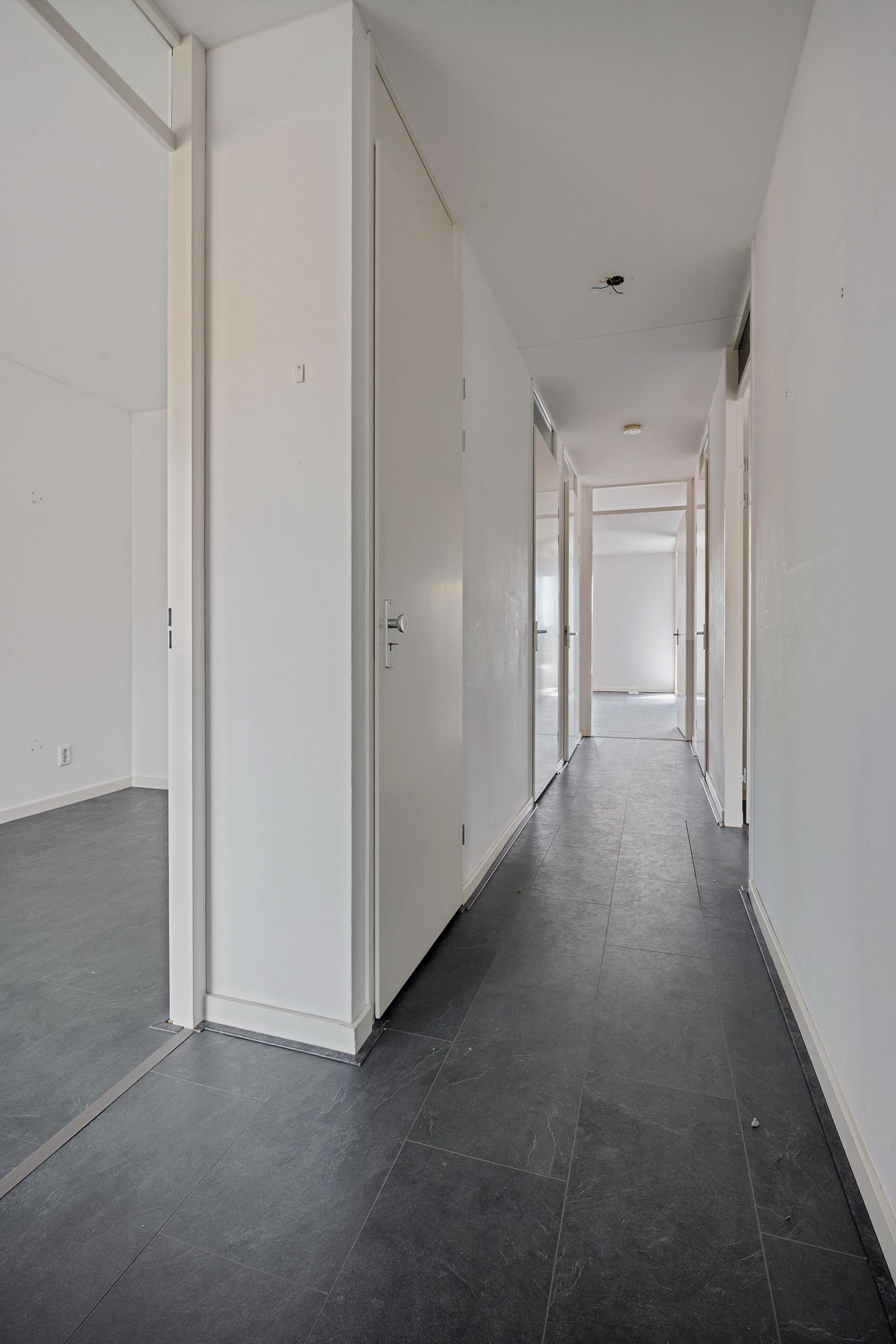 Photo 14 of Grote Geusplein 111