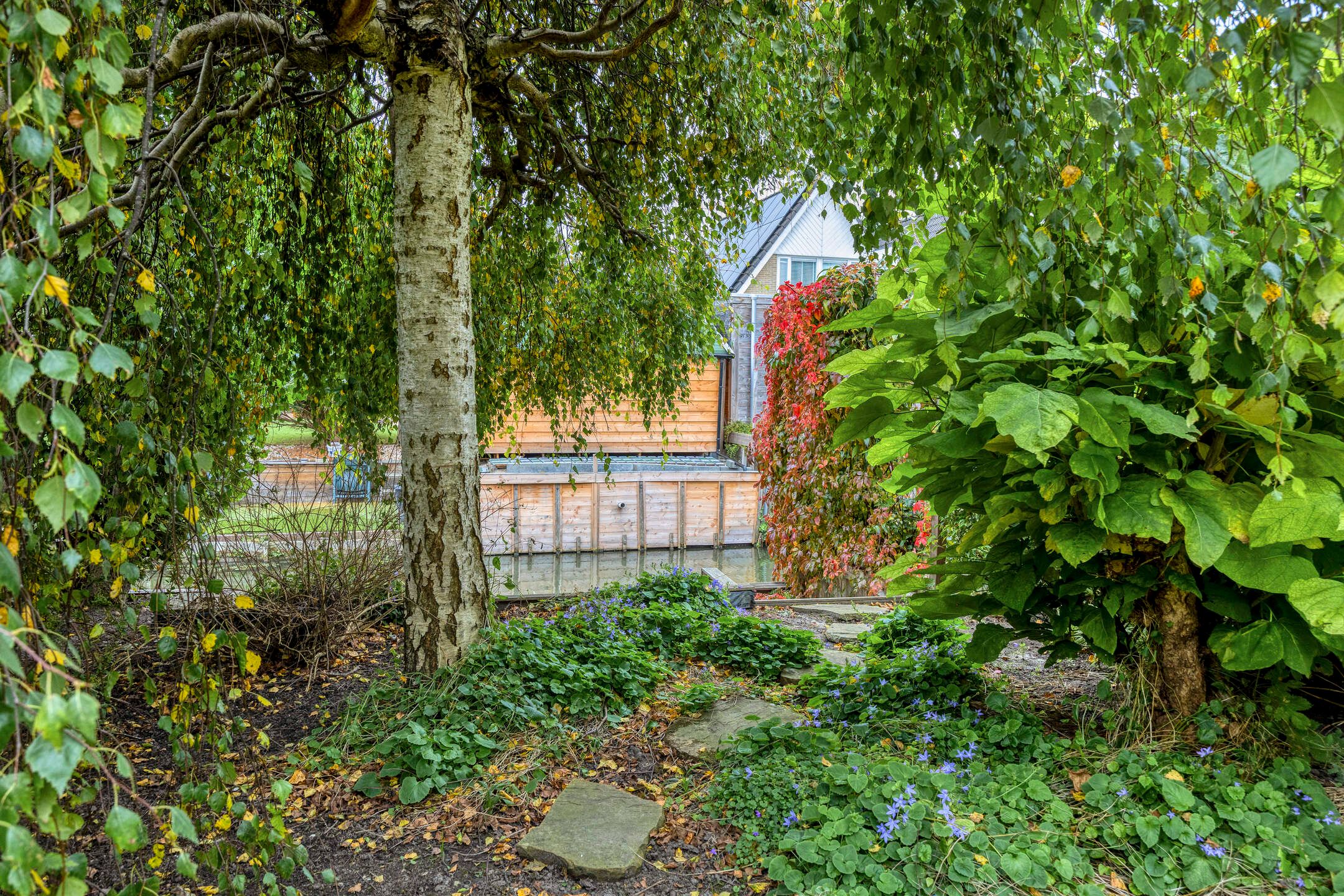 Foto 36 van Robert Stolzhof 241