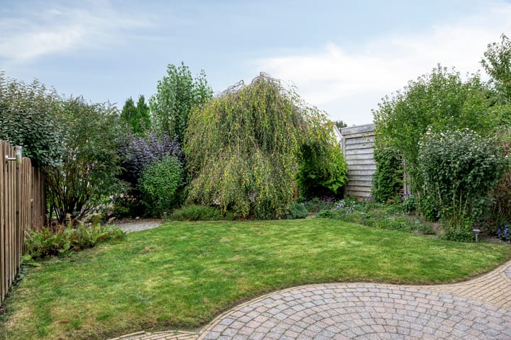 Photo 5 of Robert Stolzhof 241