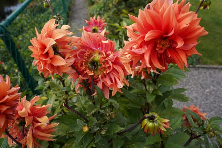 Foto 38 van KWL-park 38