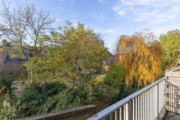 Photo 37 of Albert van Dalsumlaan 833