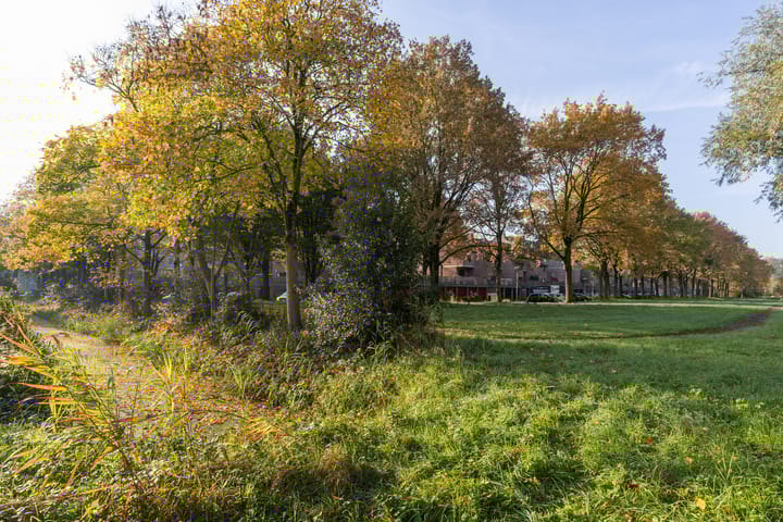 Photo 45 of Albert van Dalsumlaan 833