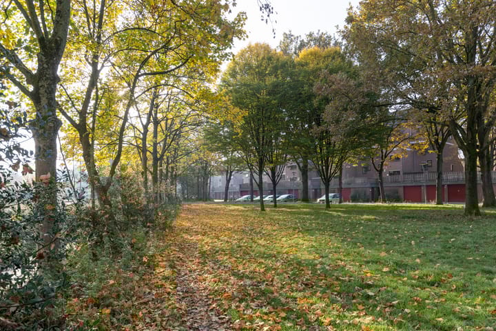 Photo 46 of Albert van Dalsumlaan 833