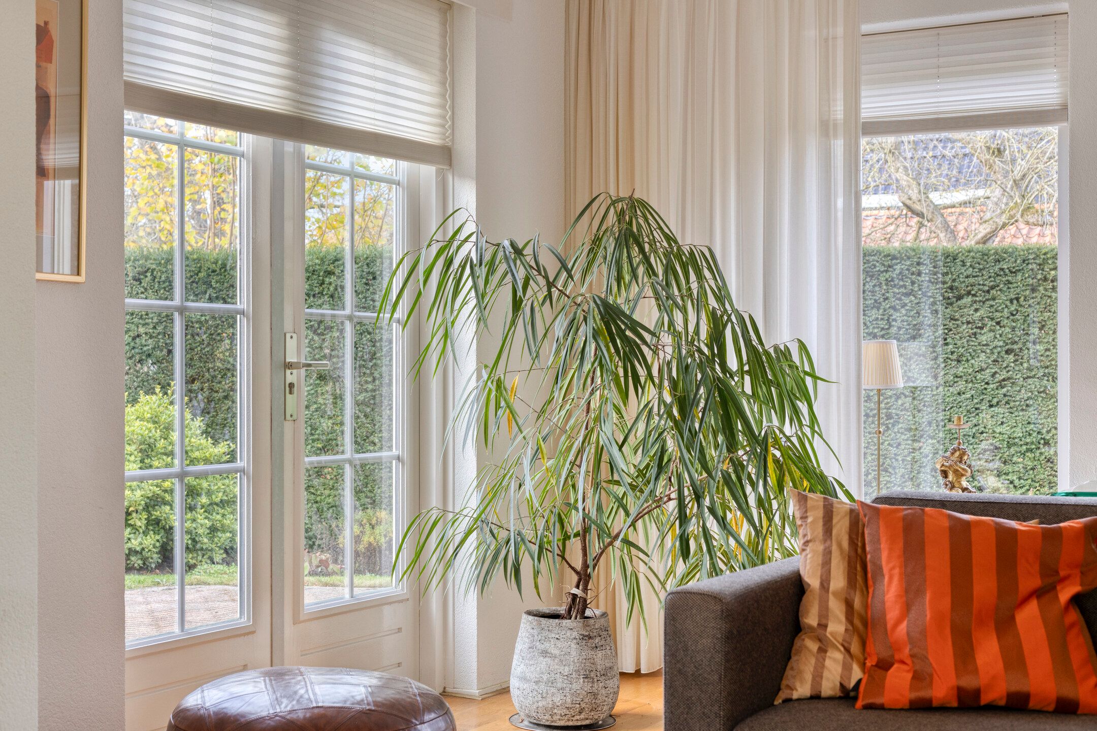 Foto 15 van Spekstoep 1