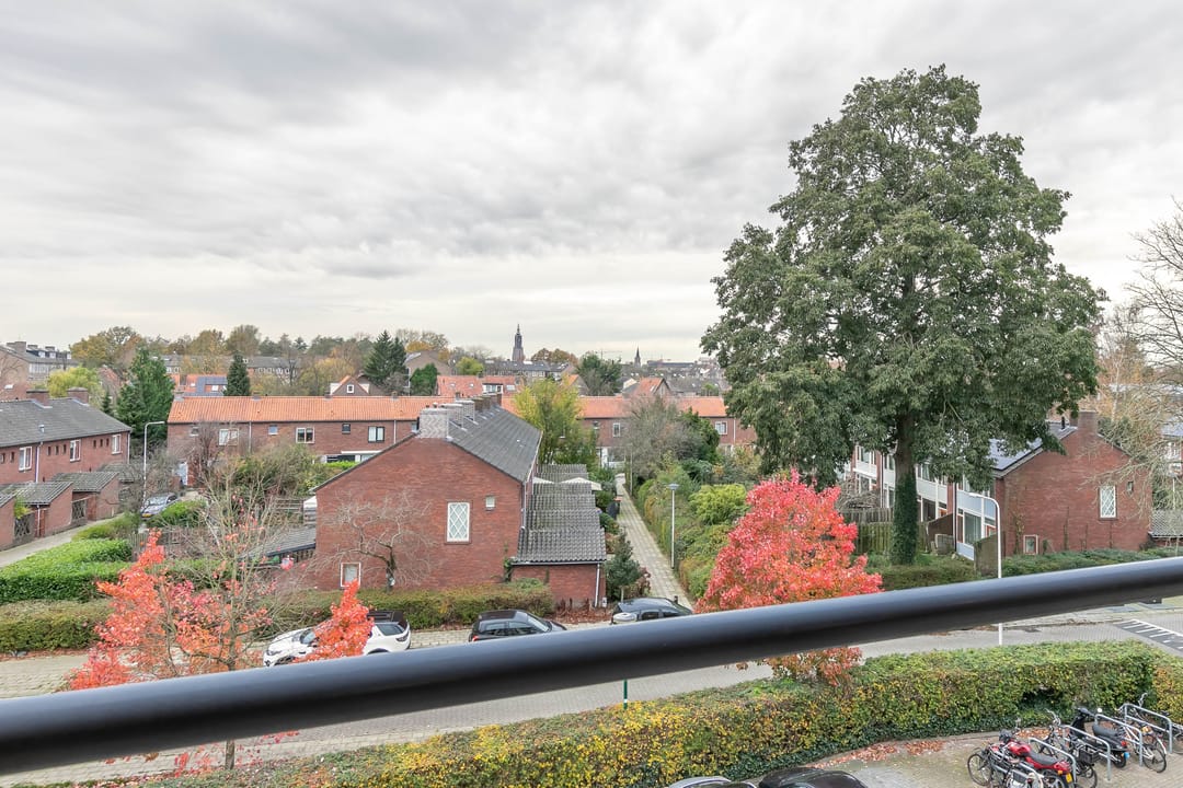 Foto 7 van Telemannhof 61