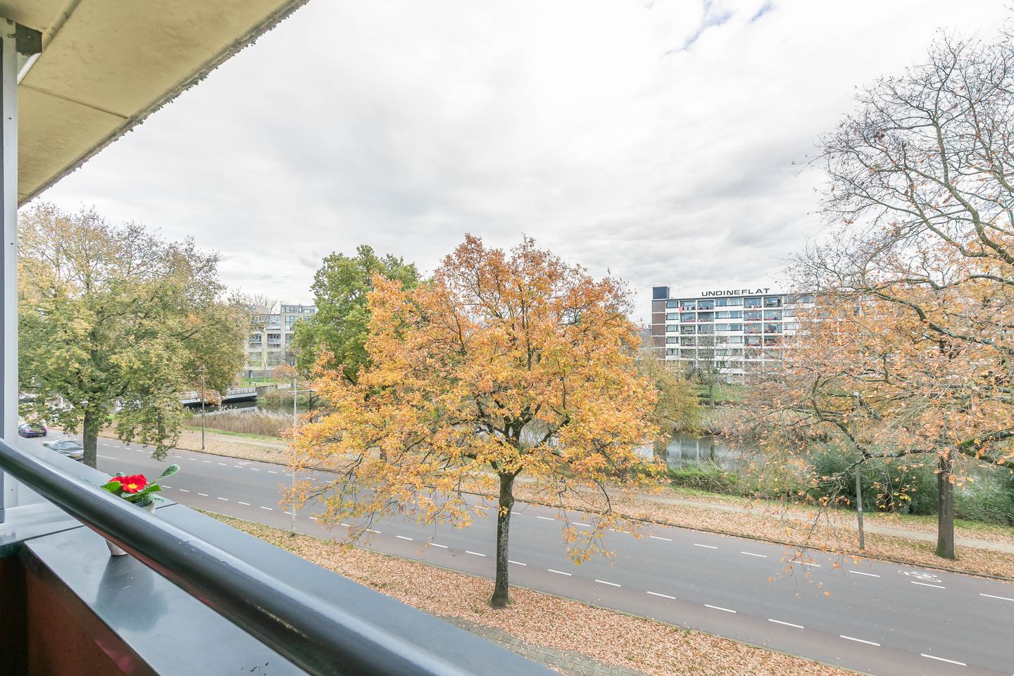 Foto 14 van Telemannhof 61