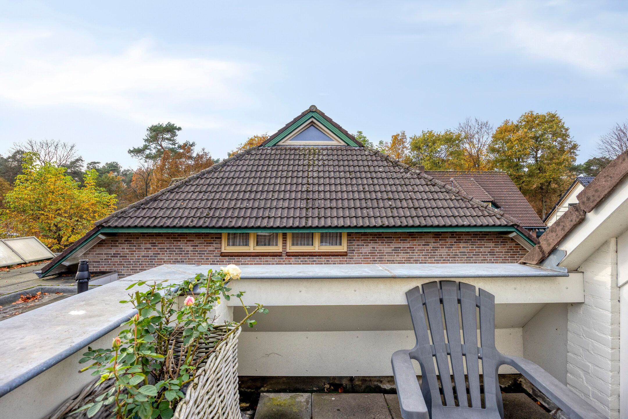 Photo 36 of Boskant 13