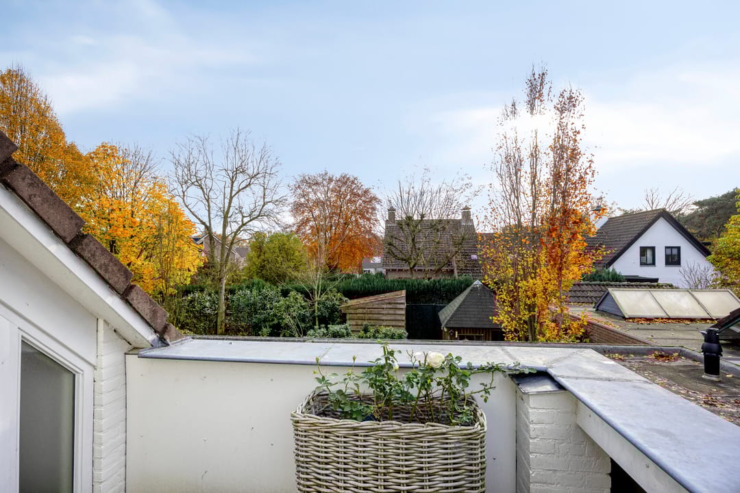 Photo 37 of Boskant 13