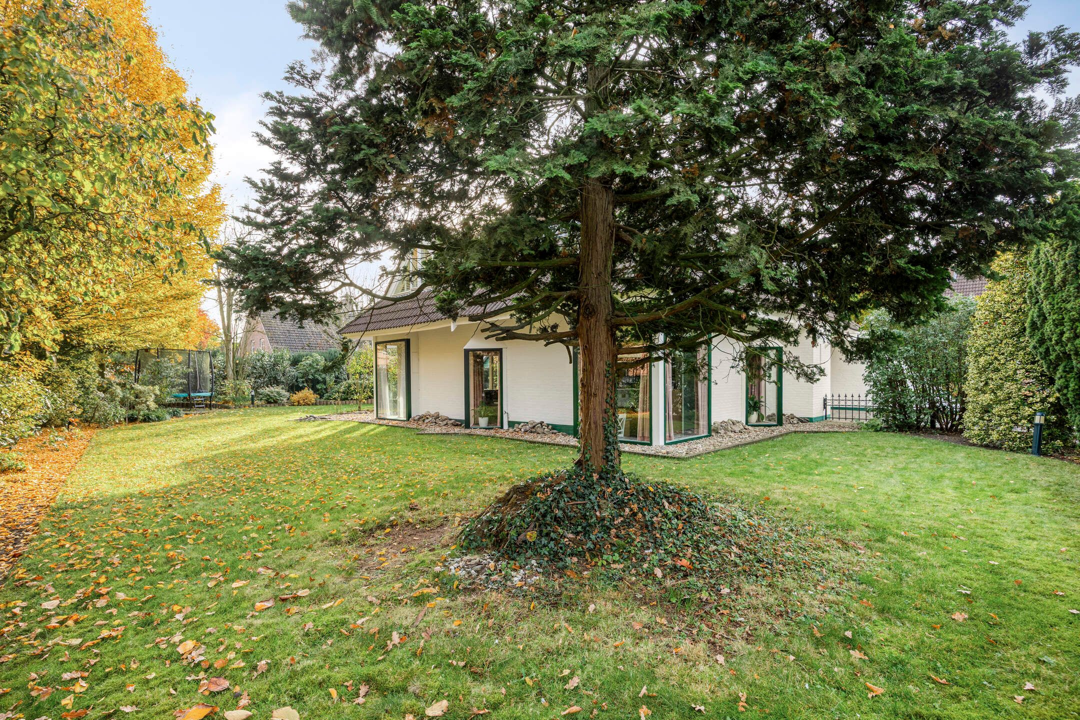 Photo 51 of Boskant 13