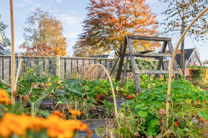 Photo 34 of Wilgenstraat 24