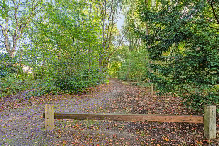 Foto 32 van Van Campenstraat 33