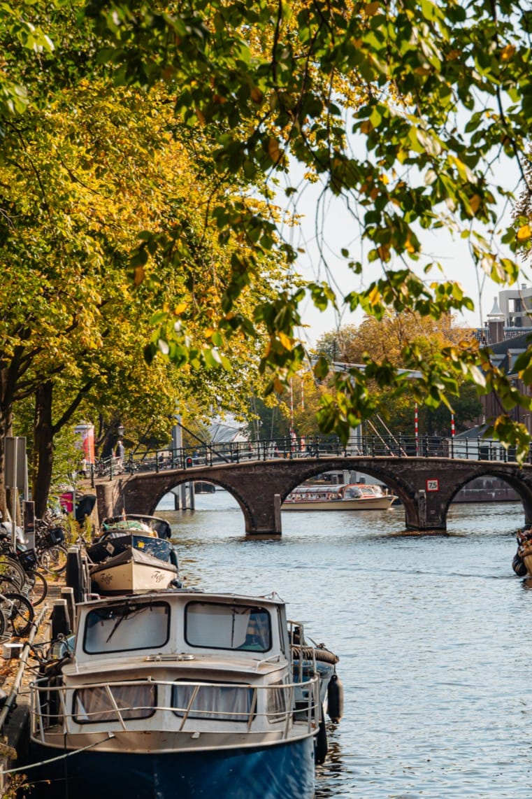 Foto 23 van Utrechtsestraat 10-C