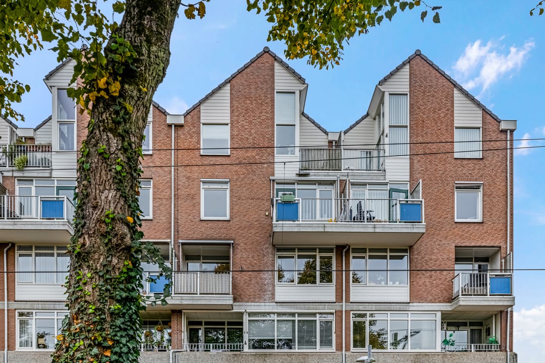 Photo 38 of De Wiek 119