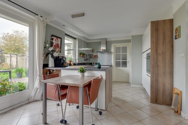 Photo 14 of Lijster 3