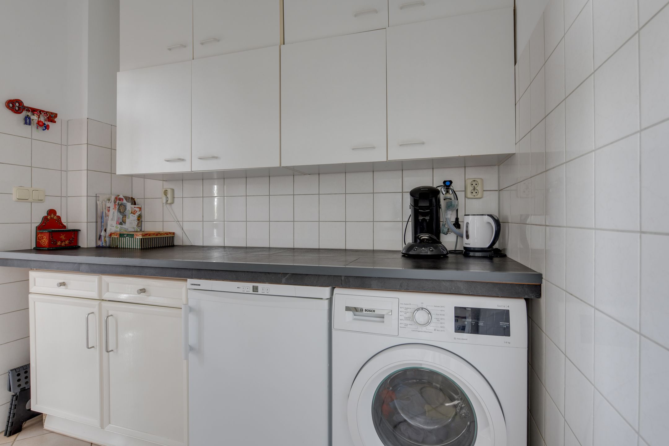 Photo 18 of Lijster 3