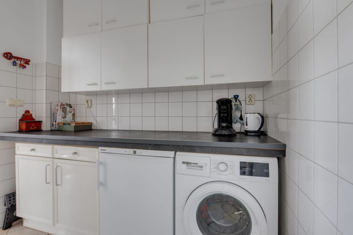 Photo 18 of Lijster 3