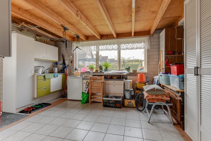 Photo 20 of Lijster 3