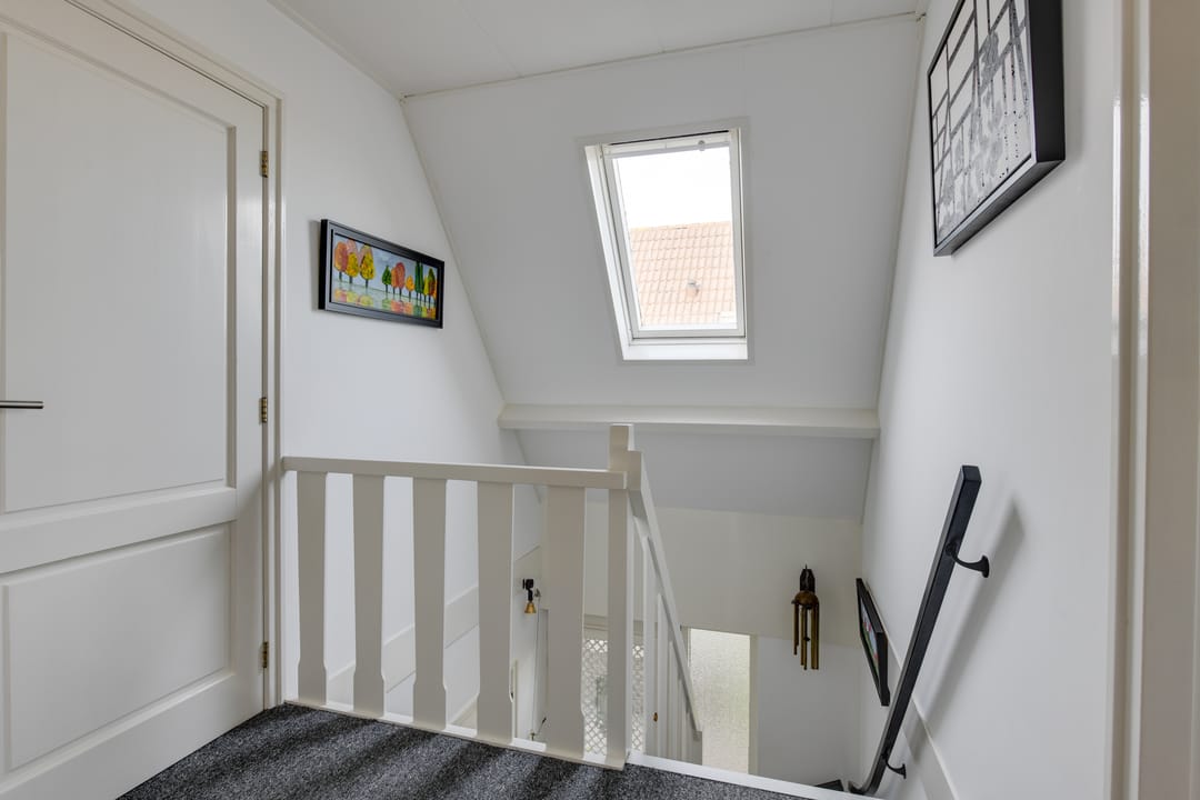 Photo 23 of Lijster 3