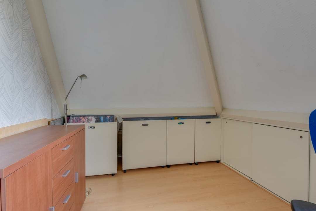 Photo 26 of Lijster 3